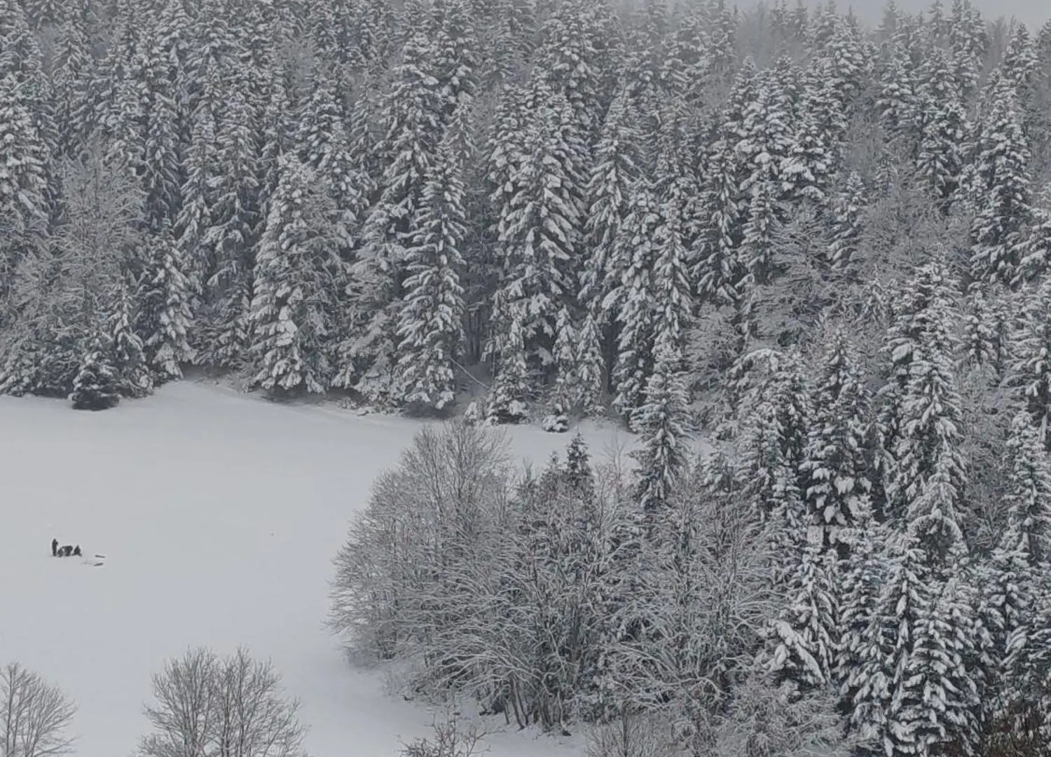 Studio Cosy Pour 4 Personnes En Rdc Villard-de-Lans 0*,