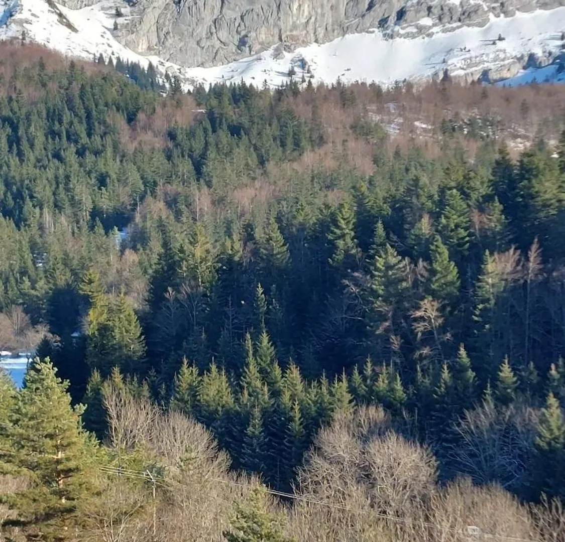 Apartamento Studio Cosy Pour 4 Personnes En Rdc Villard-de-Lans